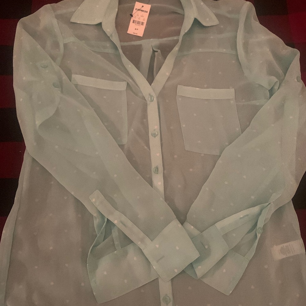 EXPRESS SHEER BLOUSE